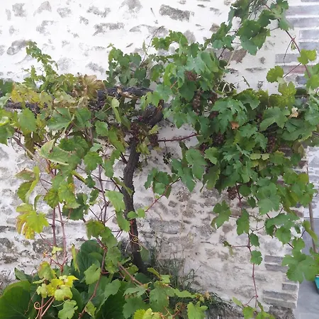 Сasa de vacaciones Mexicana Fougere (Vendee)