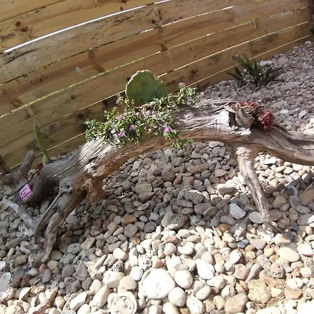 Mexicana * Fougere (Vendee)