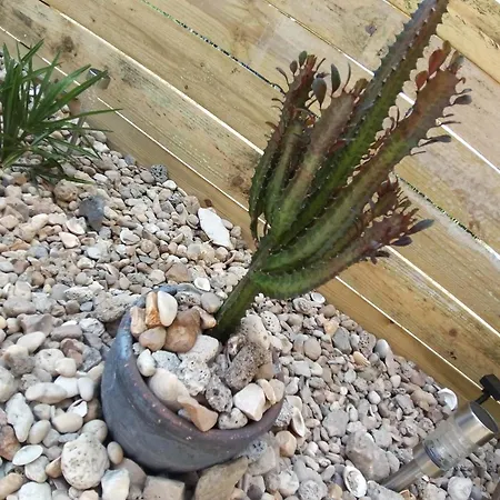 Сasa de vacaciones Mexicana Fougere (Vendee)