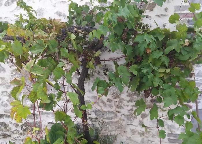 Casa de Férias Mexicana Fougere (Vendee)