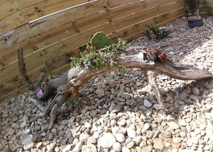 Mexicana * Fougere (Vendee)