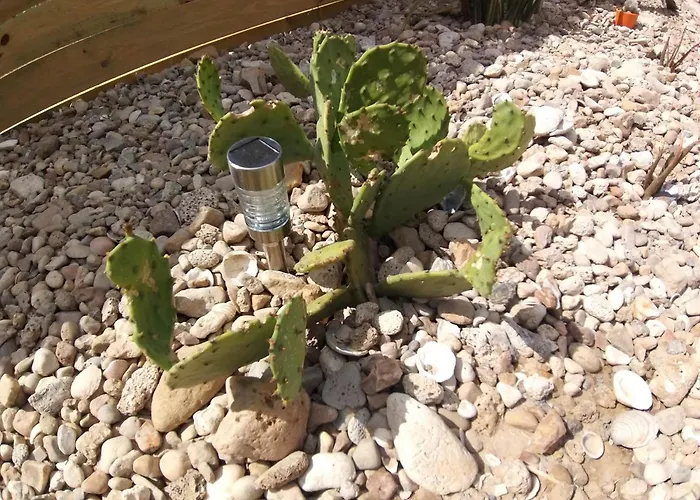 Mexicana Casa de Férias