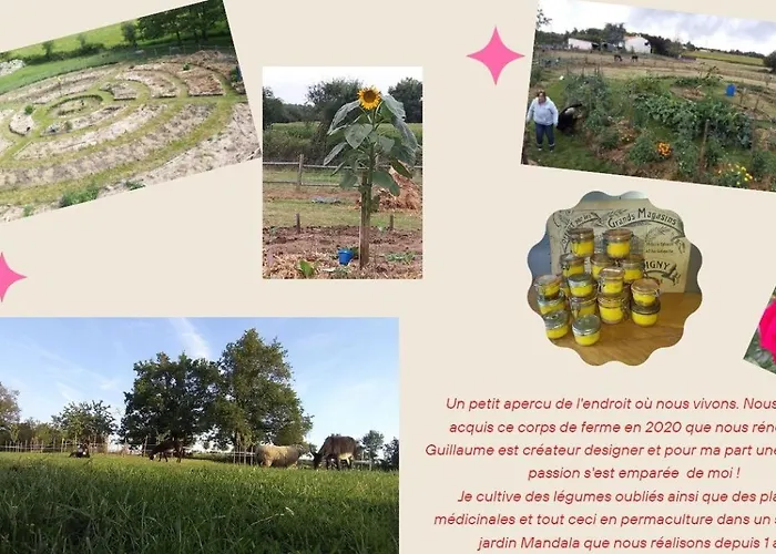 Mexicana Casa de Férias *